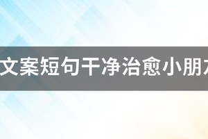 孩子努力训练篮球的文案